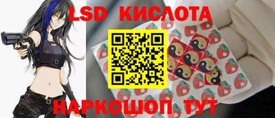 гидропоника Сланцы