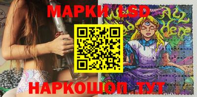 гидропоника Сланцы