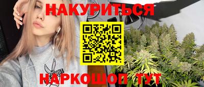 гидропоника Сланцы