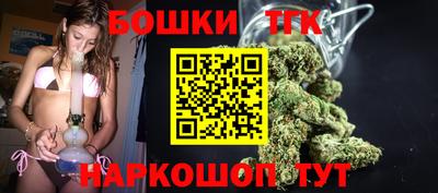 гидропоника Сланцы