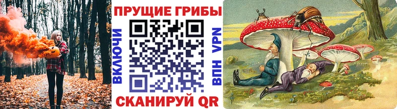 Псилоцибиновые грибы Psilocybe  Ревда 