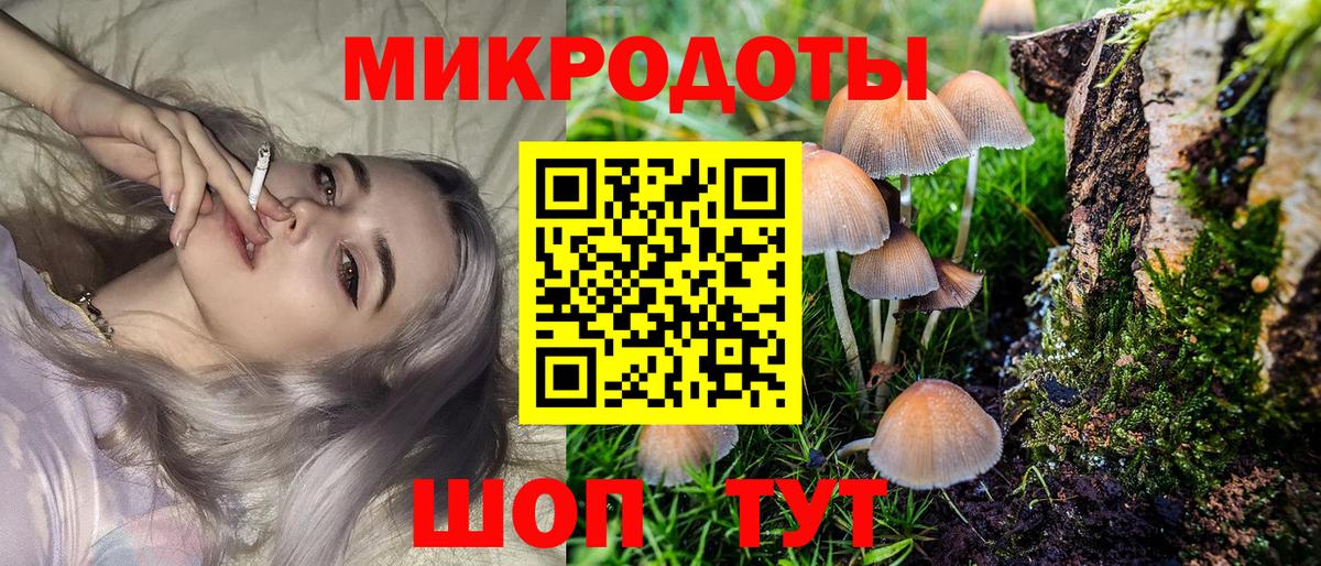 Галлюциногенные грибы мицелий Ревда