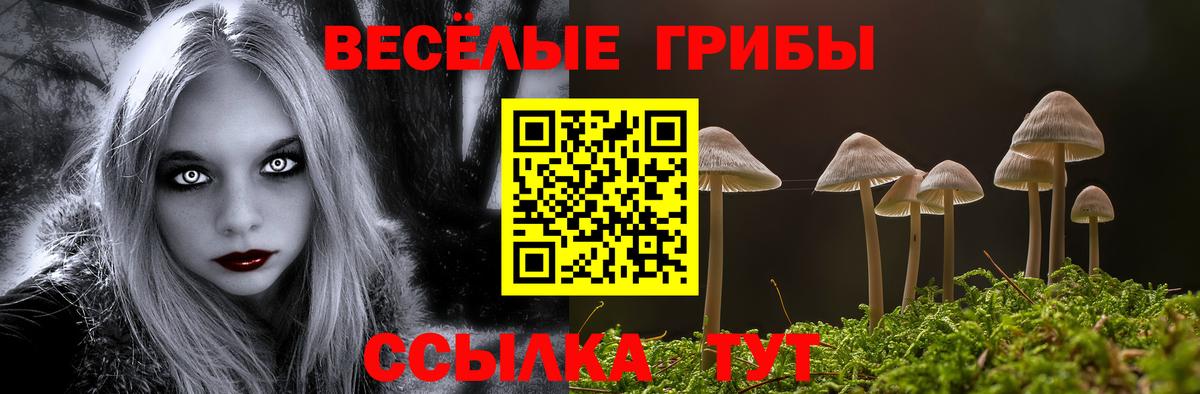 Псилоцибиновые грибы Cubensis  где купить наркоту  Вход с VPN  Ревда  Псилоцибиновые грибы ЛСД 